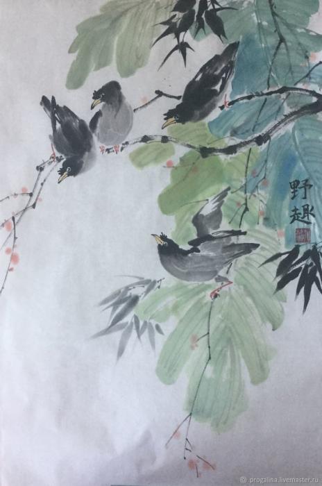 Птица на ветке берёзы