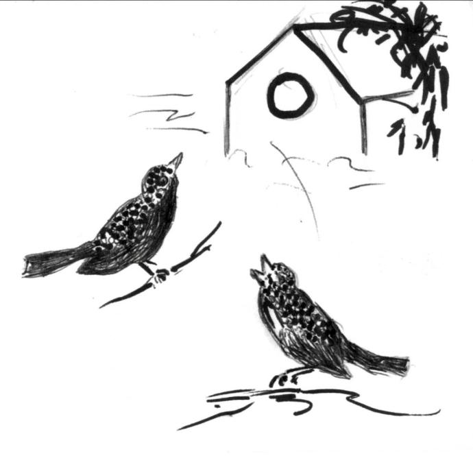 Акварель Katya_mihailina птицы