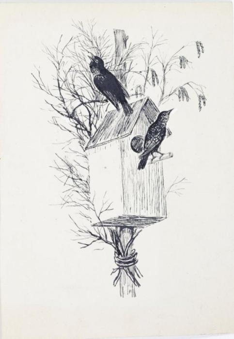 Птенцы в гнезде на белом фоне