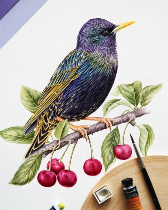 Литография Фогелера "черный Дрозд"