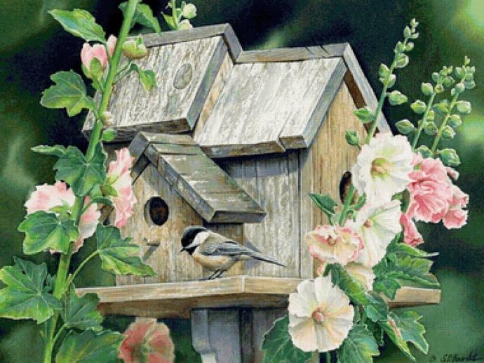 Скворцы в графике