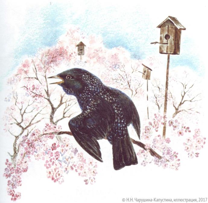 Скворечник акварель