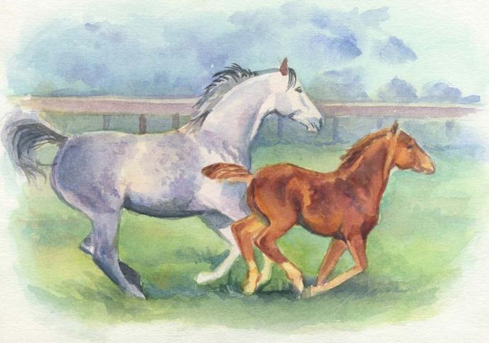 Рисунки для детей конь в поле