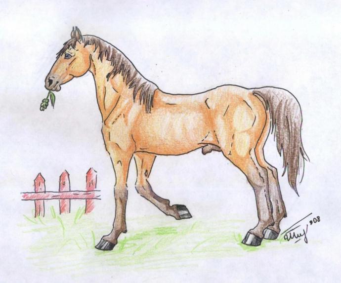 Маска лошади "голова коня"