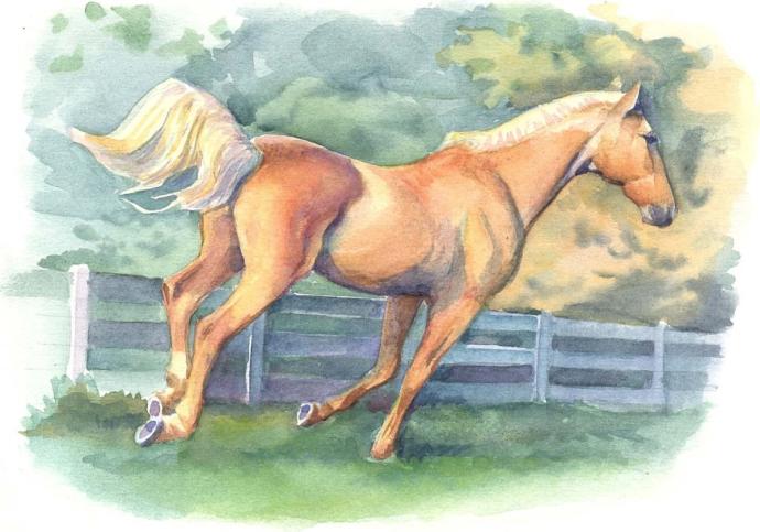 Конь рисунок