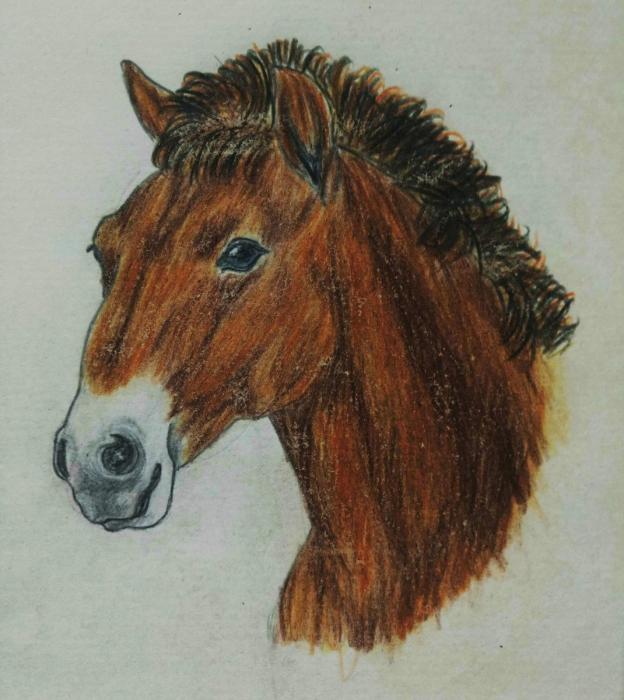 Лошадь с жеребенком рисунок