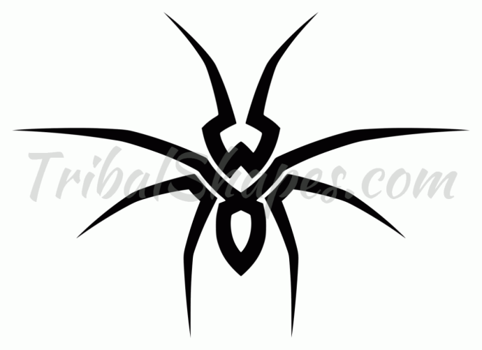 Паук крестовик символ