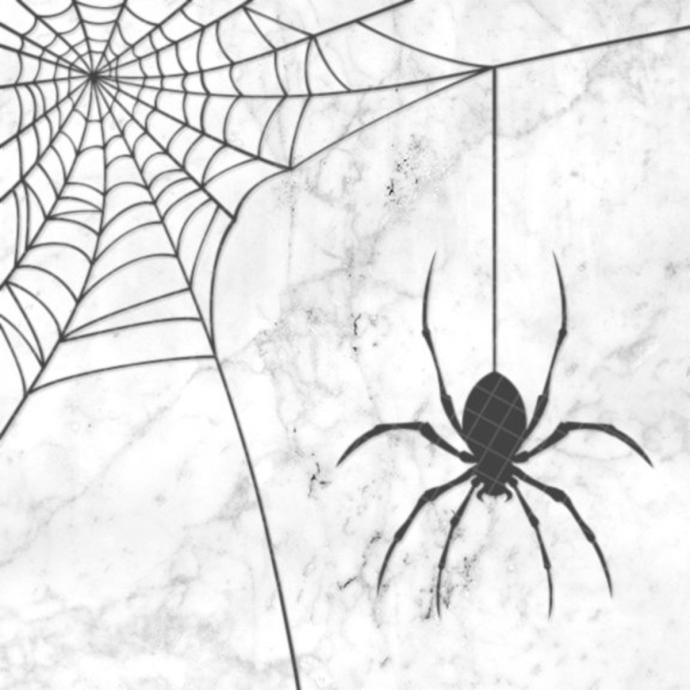 Паук набросок