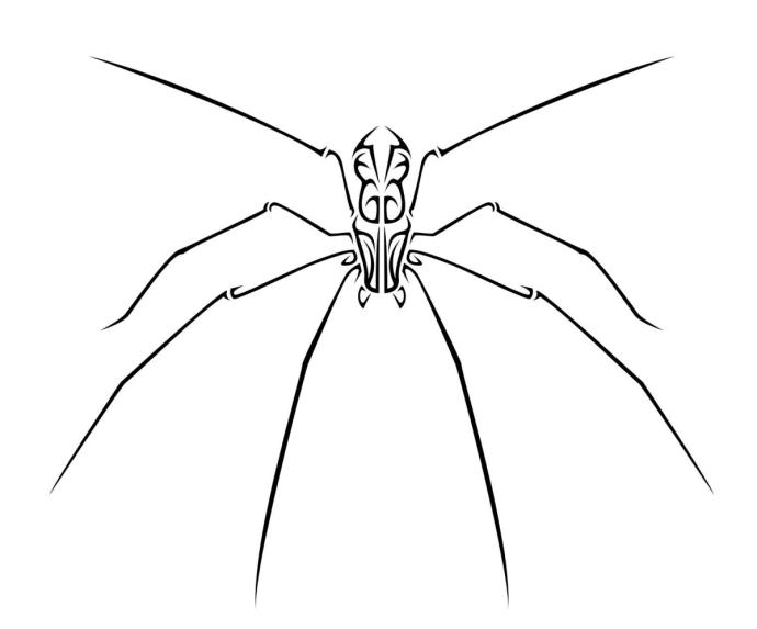 Тарантул тату эскиз