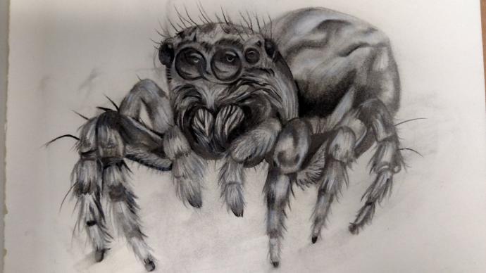 My Chemical Romance Danger Days logo