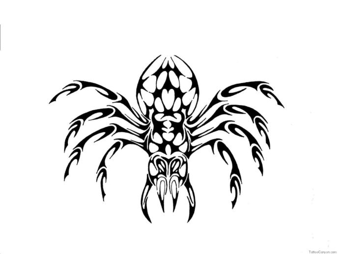 Эскиз тату паук геометрия