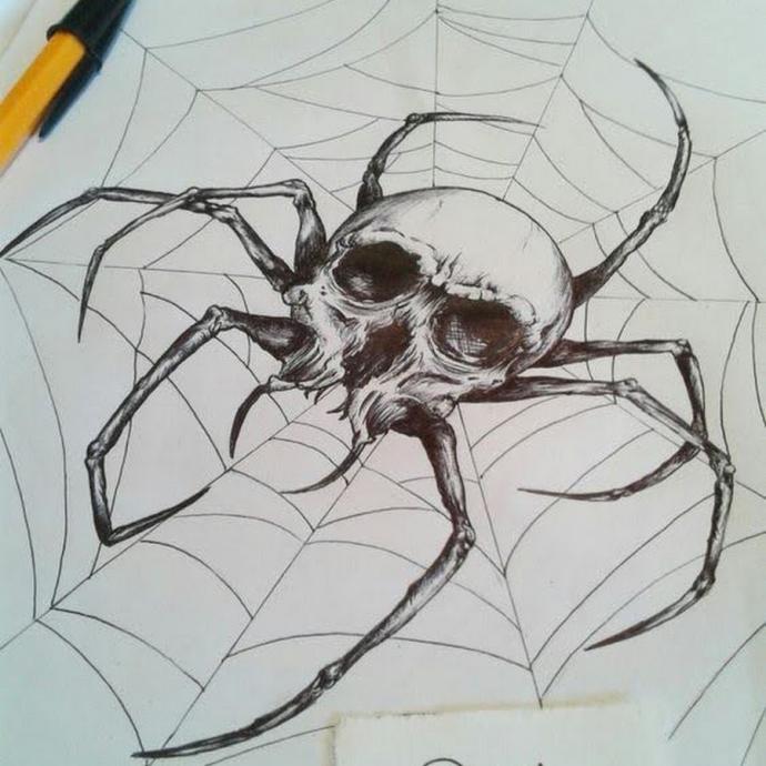Паук эскиз