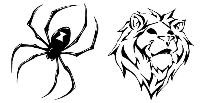 Эскизы тату паук с паутиной