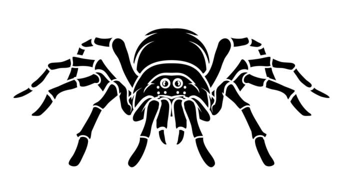 Нарисовать паука