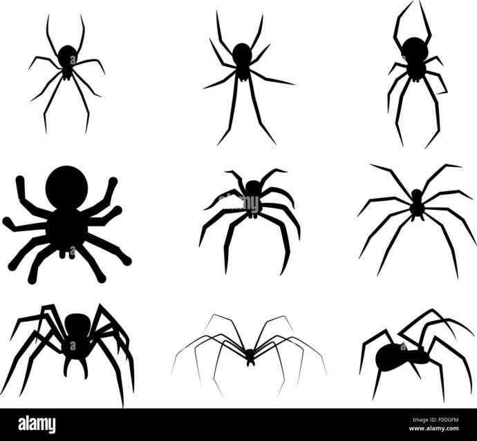 3д паук карандашом