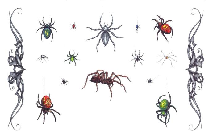Нарисовать паука карандашом