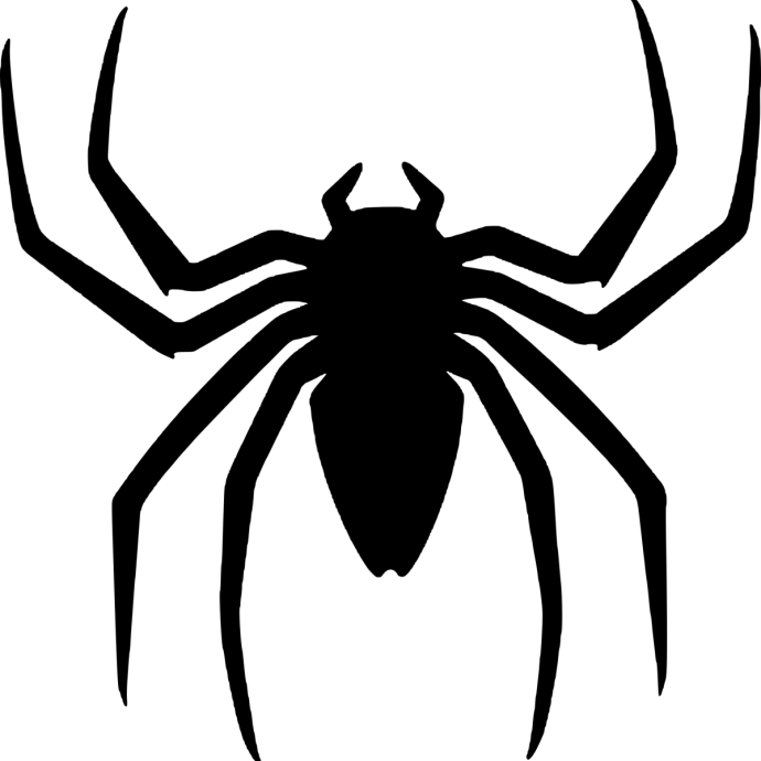 Паук эскиз74