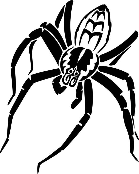 Паук-оборотень Йорогумо