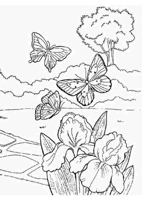 Весенние раскраски для детей