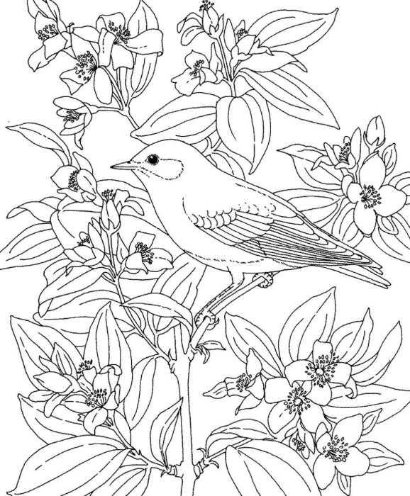 Раскраска. Лето