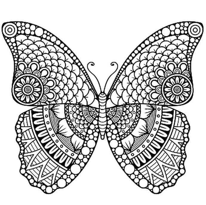 Раскраска Волшебная бабочка