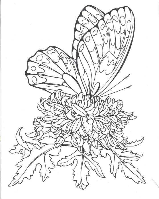 Мандала раскраска бабочки