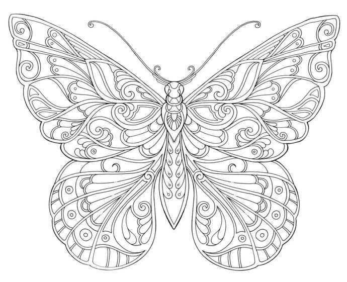 Раскраскаантистрес бабочка