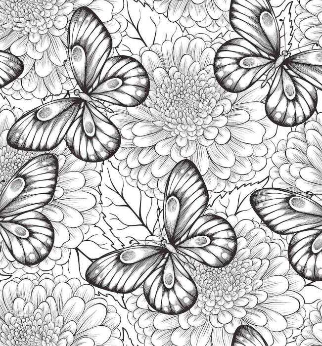 Раскраска бабочка антистресс геометрия