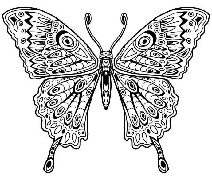 Мандала бабочка