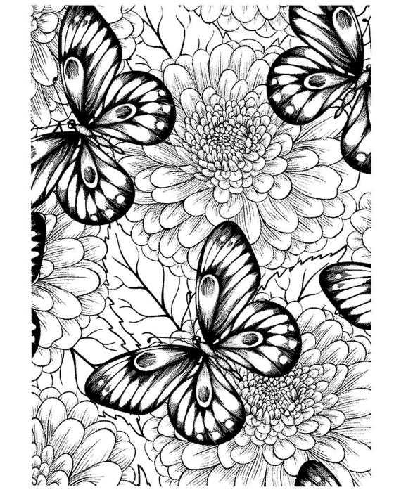 Антистресс цветы