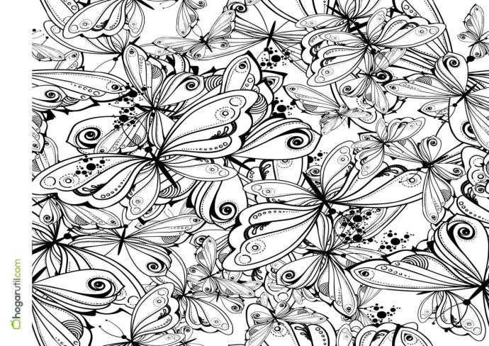 Бабочка на цветочке раскраска