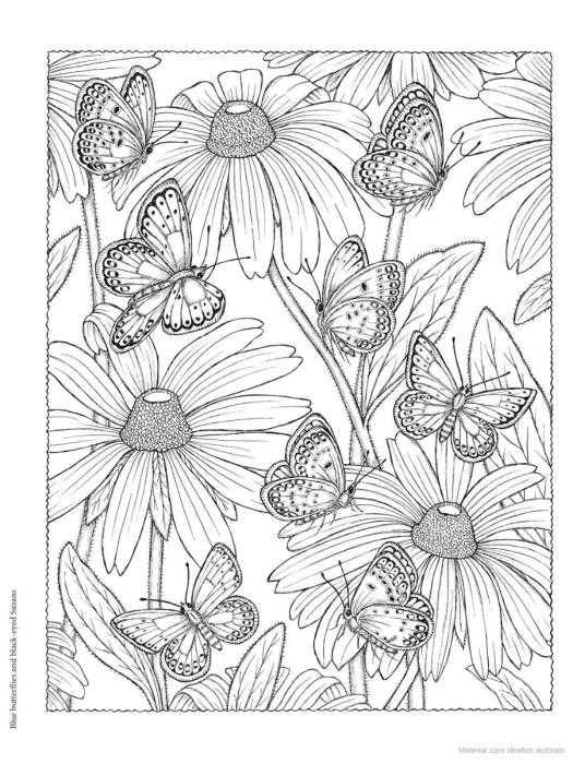 Раскраски антистресс бабочки