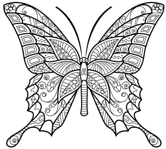 Бабочка раскраска антистресс для детей