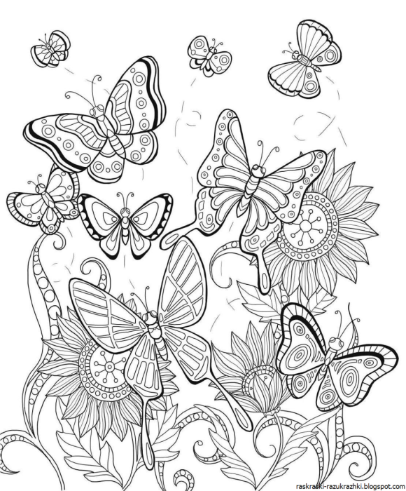 Раскраска бабочка с узорами