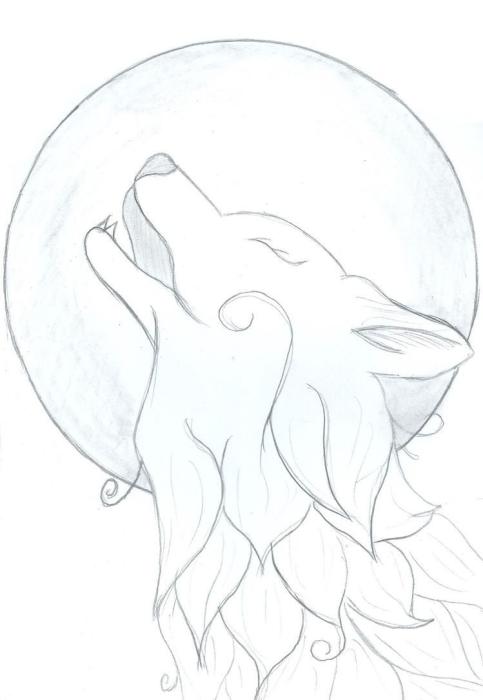 Рисунок волка карандашом для срисовки легкие