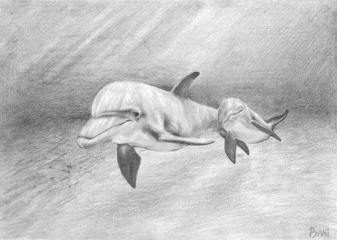 Картины простым карандашом