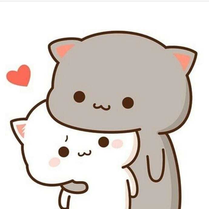 Кавайные котики парочка