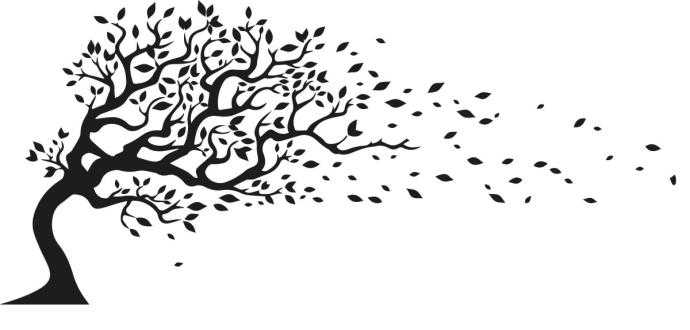 Силуэт наклоненного дерева