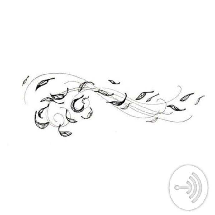 Узоры ветра