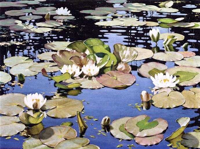 Эскиз водоема ландшафтный дизайн