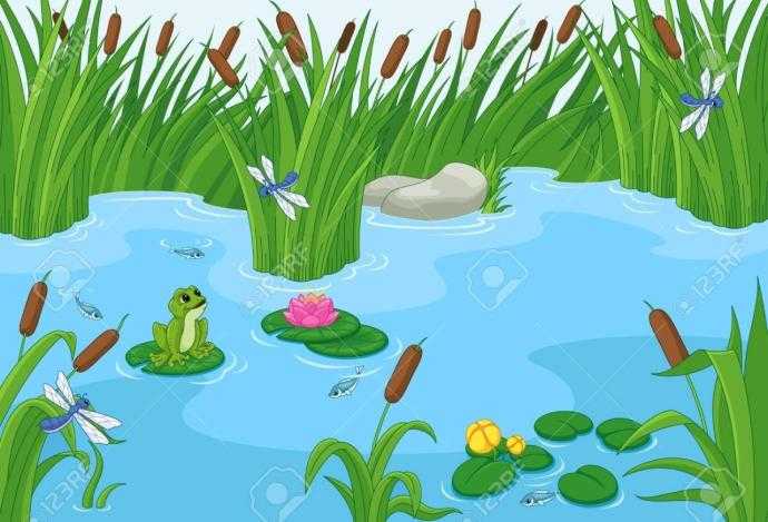 Нарисовать пруд в парке