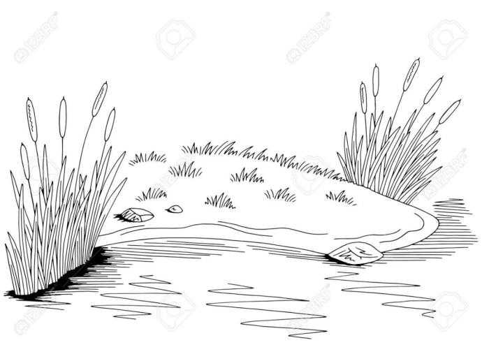 Живые обои рыбки