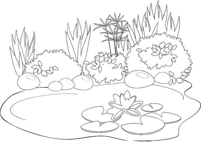 Пруд раскраска