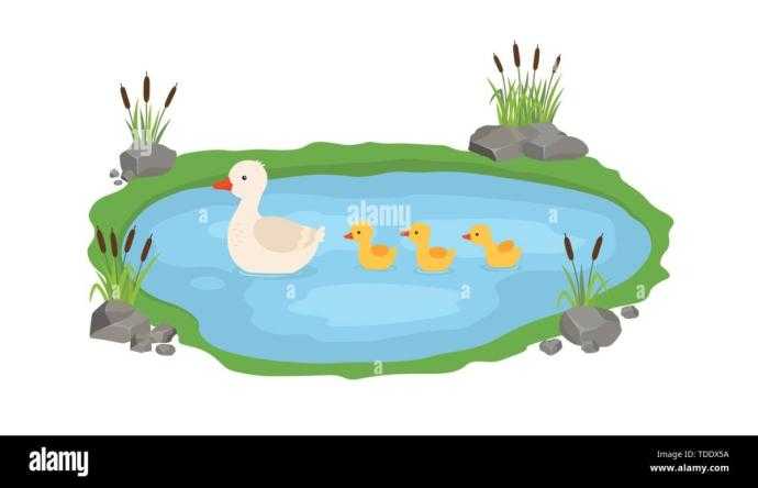 Утка на пруду мультяшный