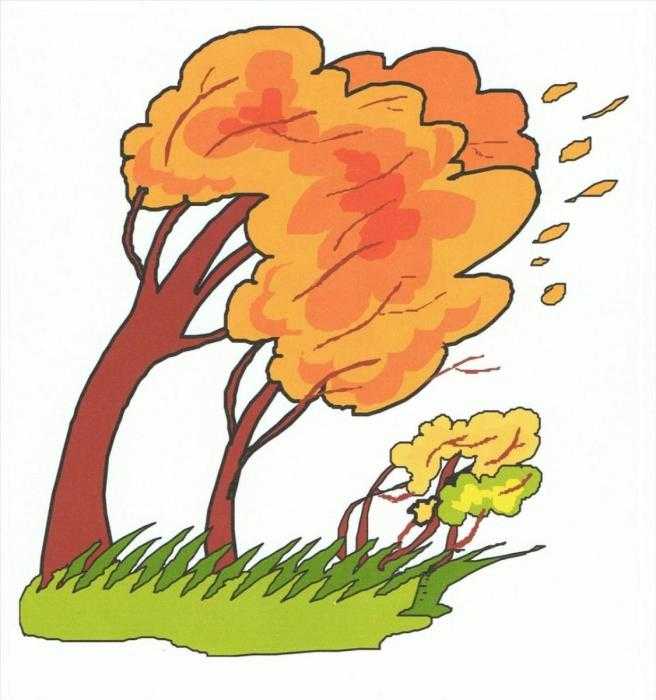 Сказочный желтый цветок