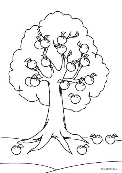 рисунок яблоня карандашом для детей для срисовки