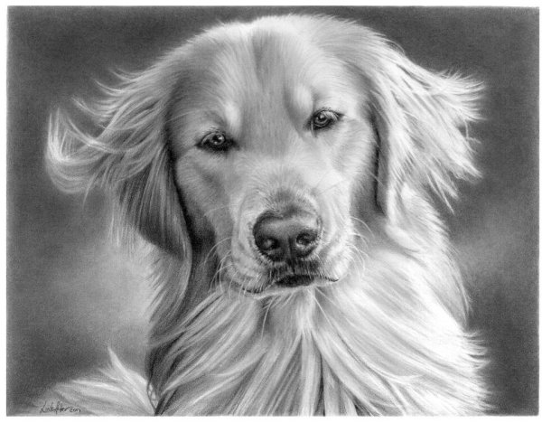 картина рисунок карандашом для срисовки