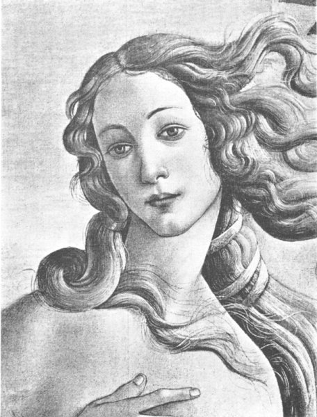 афродита рисунок карандашом для срисовки