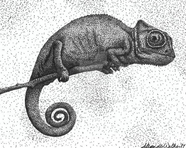 хамелеон рисунок карандашом для срисовки