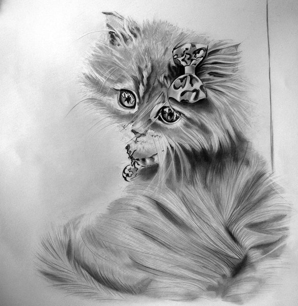 картина рисунок карандашом для срисовки